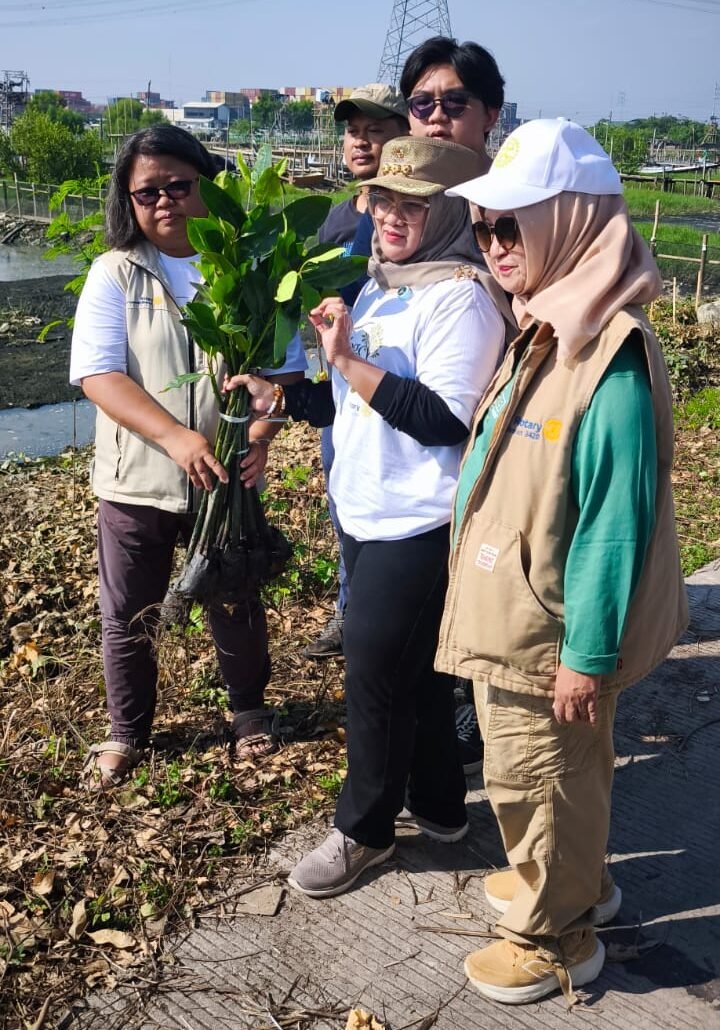 RC Semarang Bimasena tanam mangrove